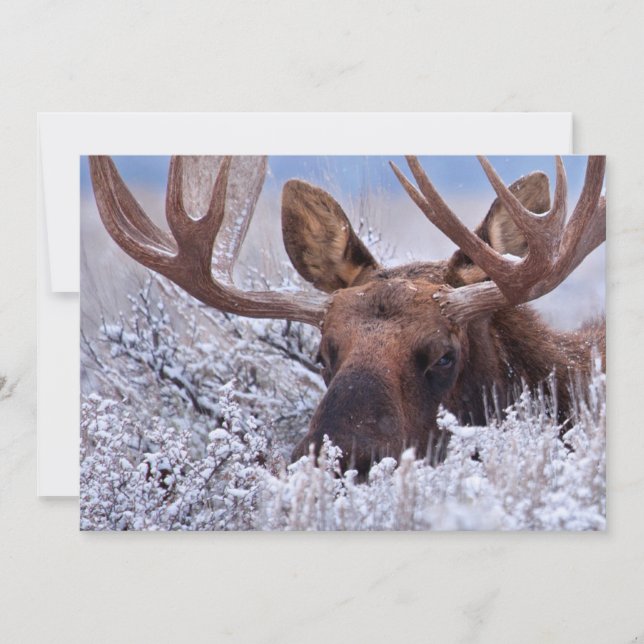 Carte De Remerciements Glace & Neige | Parc national de Grand Teton, Wyom (Devant)