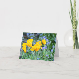 Carte De Remerciements Golden poppies