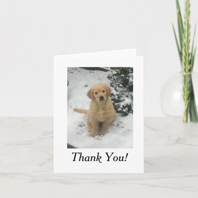 Carte de remerciements - Golden Retriever (Devant)