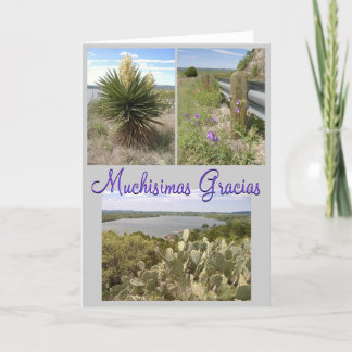 Carte De Remerciements Gracias !