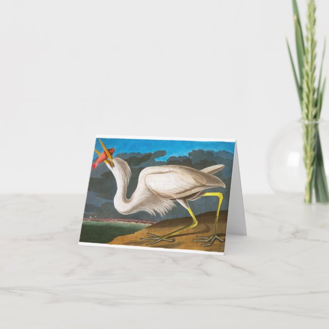 Carte De Remerciements Grand héron blanc par John James Audubon (Devant)