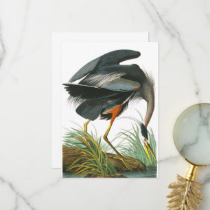 Carte De Remerciements Grand héron bleu par John James Audubon