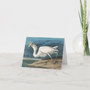 Carte De Remerciements Grande Peinture de la faune d'Audubon Heron blanc