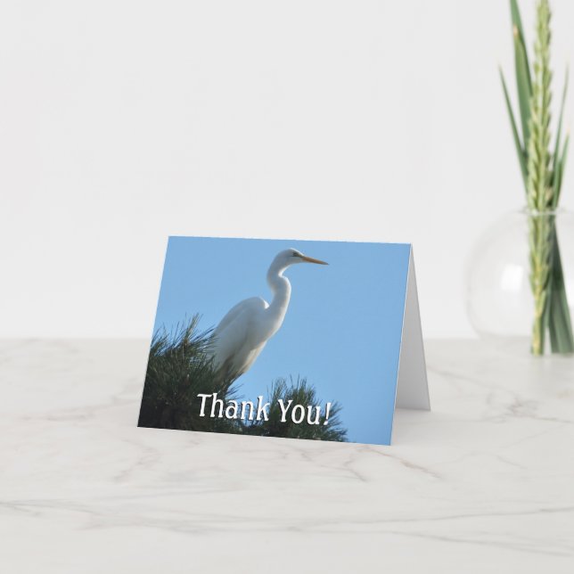 Carte De Remerciements Great Egret dans la Floride ensoleillée (Devant)