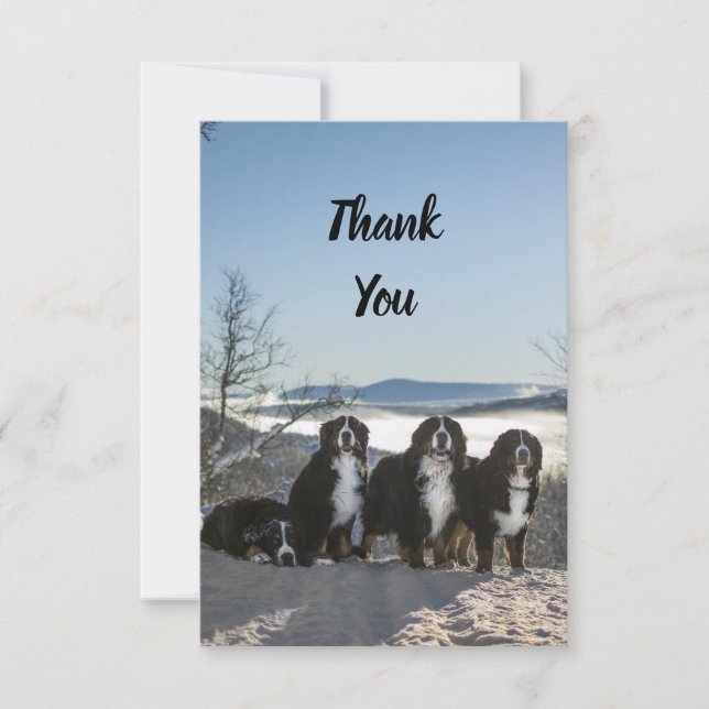 Carte De Remerciements groupe de chiens de montagne bernais (Devant)