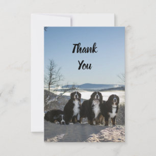 Carte De Remerciements groupe de chiens de montagne bernais
