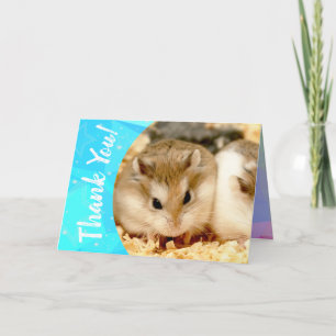 Carte De Remerciements Hammyville - Cute Hamster Thank You