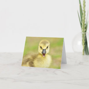 Carte De Remerciements Happy Gosling (Canada Goose #2) - Blank Note Card