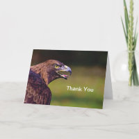 Carte de remerciements Hawk