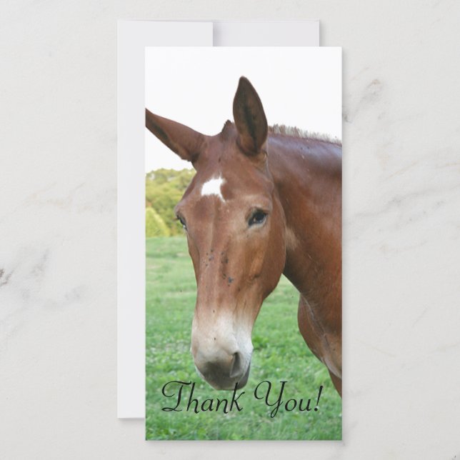 Carte De Remerciements Headshot d'une mule plutôt de raffinage (Devant)