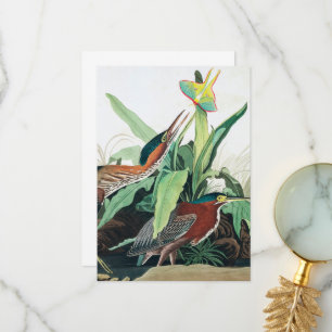 Carte De Remerciements Heron vert par John James Audubon