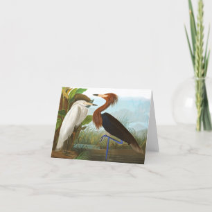 Carte De Remerciements Heron violet par John James Audubon