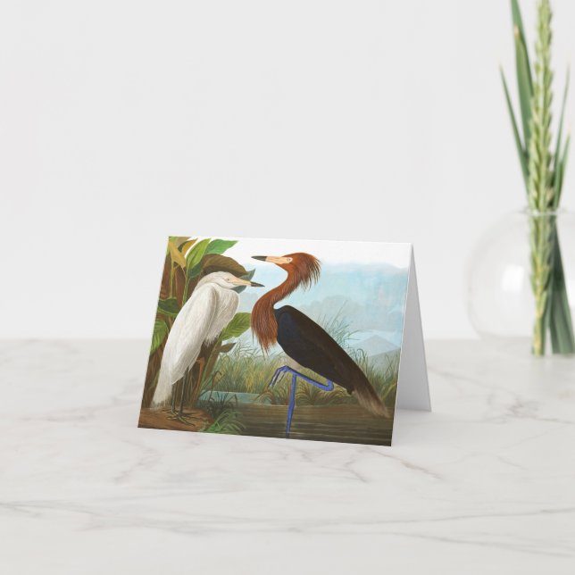 Carte De Remerciements Heron violet par John James Audubon (Devant)