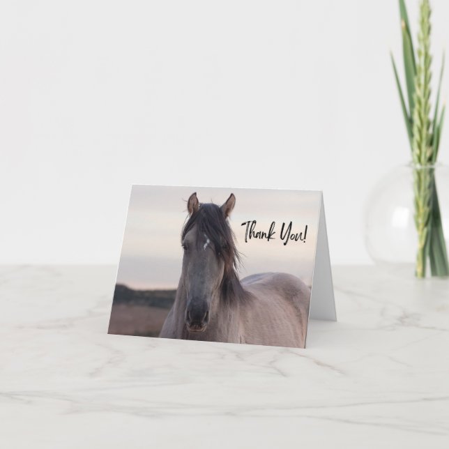 Carte de remerciements hippique sauvage de la mont (Devant)