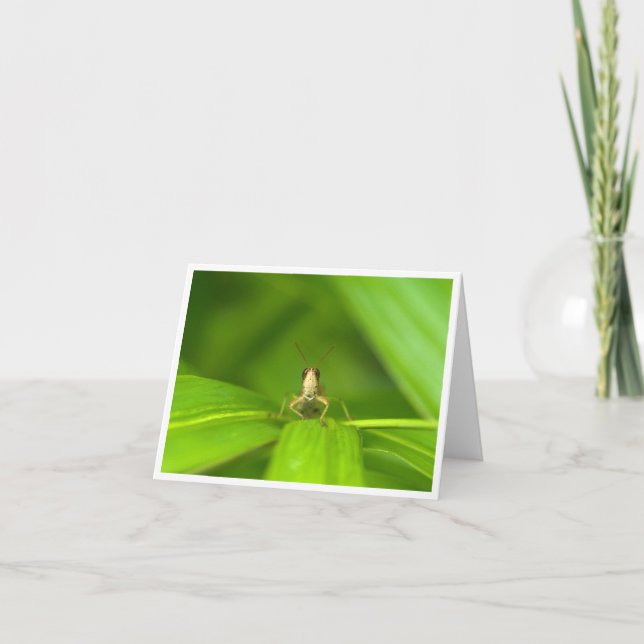Carte De Remerciements Hopper Hello (Devant)