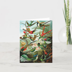 Carte De Remerciements Hummingbirds par Ernst Haeckel
