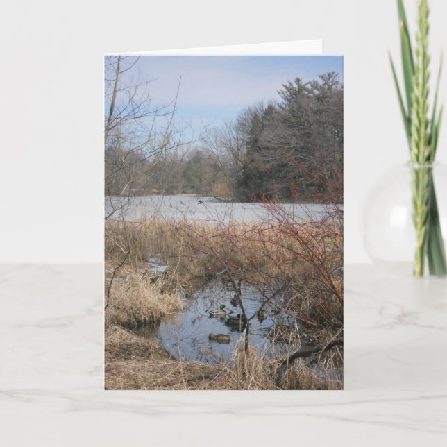 carte de remerciements "Hyland Lake Ducks #1" (Devant)