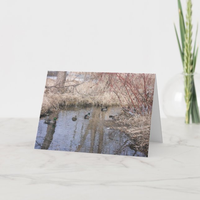 carte de remerciements "Hyland Lake Ducks #3" (Devant)