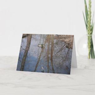 carte de remerciements "Hyland Lake Mallard #1"
