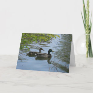 carte de remerciements "Hyland May Day Mallards #1