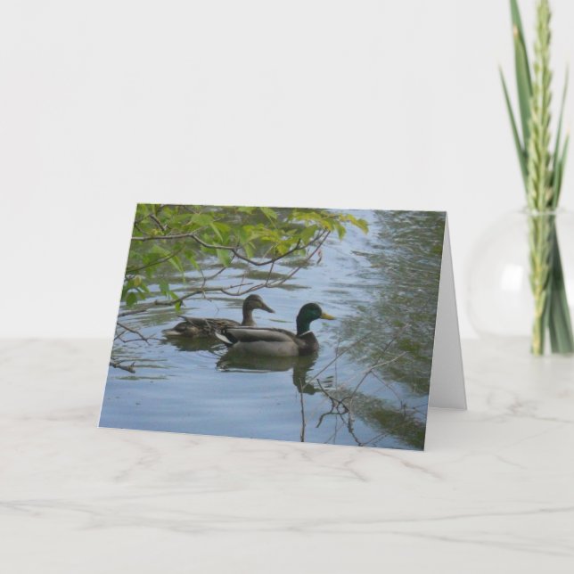 carte de remerciements "Hyland May Day Mallards #1 (Devant)