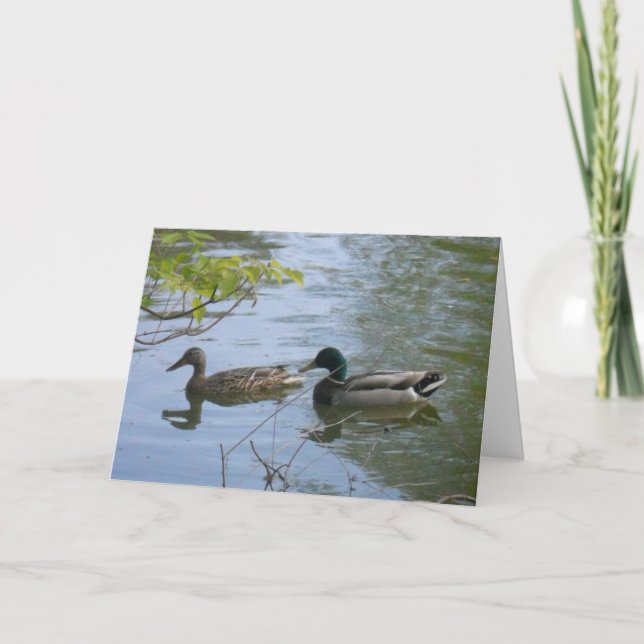 carte de remerciements "Hyland May Day Mallards #2 (Devant)