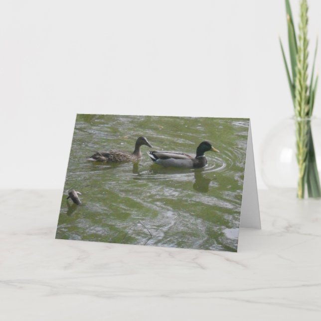 carte de remerciements "Hyland May Day Mallards #3 (Devant)