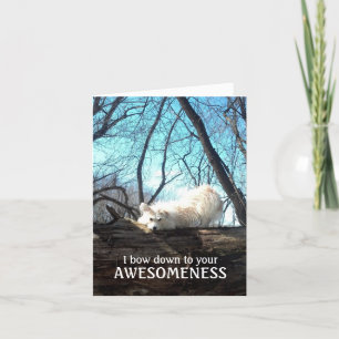 Carte De Remerciements I Bow Down To Your Awesomeness
