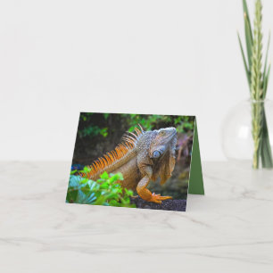Carte De Remerciements "Iguane"