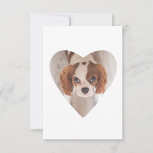 Carte De Remerciements Image du coeur