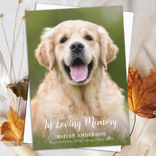 Carte De Remerciements In Love Memory Pet Memorial Photo moderne