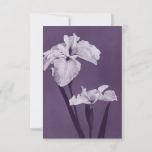 Carte De Remerciements Iris Fine Art