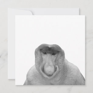 Carte De Remerciements Janusz Meme, Proboscis Monkey, Polak, Pole Janus