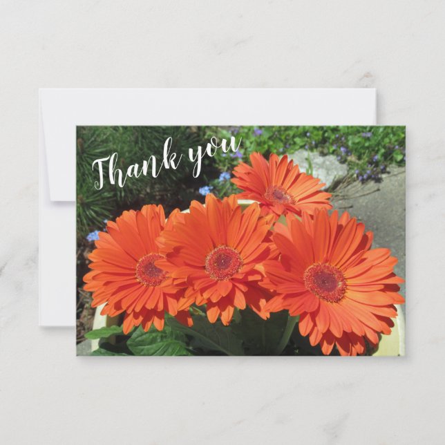 Carte De Remerciements Joli Orange Gerbera Daisy Photo manuscrite (Devant)