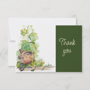 Carte De Remerciements Joli Troglodyte Oiseau Nature AquarelleMerci