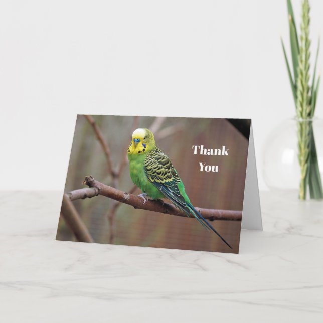Carte De Remerciements Jolie Perruque verte (Devant)