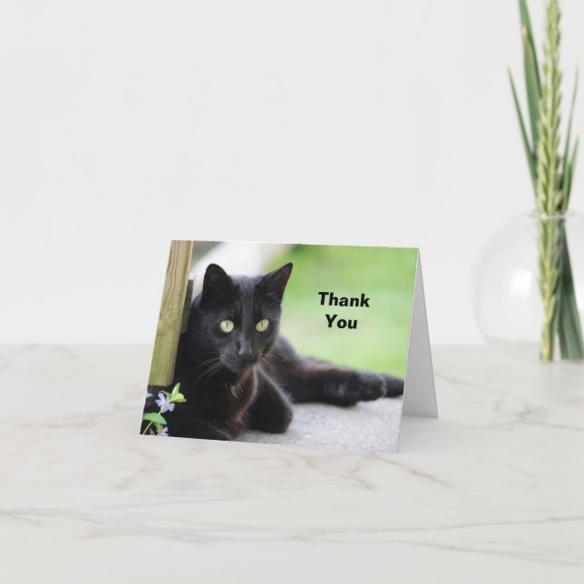 Carte De Remerciements Jolie photo de chat noir (Devant)