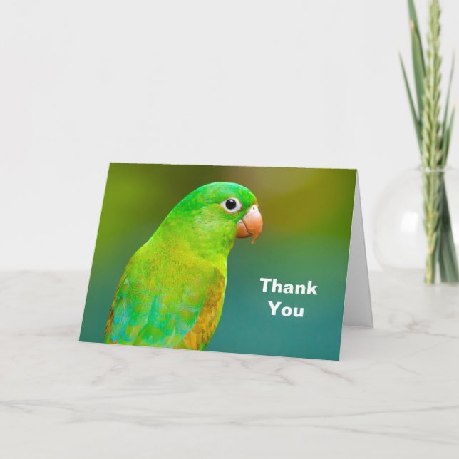 Carte De Remerciements Jolie photo de perroquet vert (Devant)
