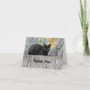 Carte De Remerciements Jolie photo du journal de chat noir