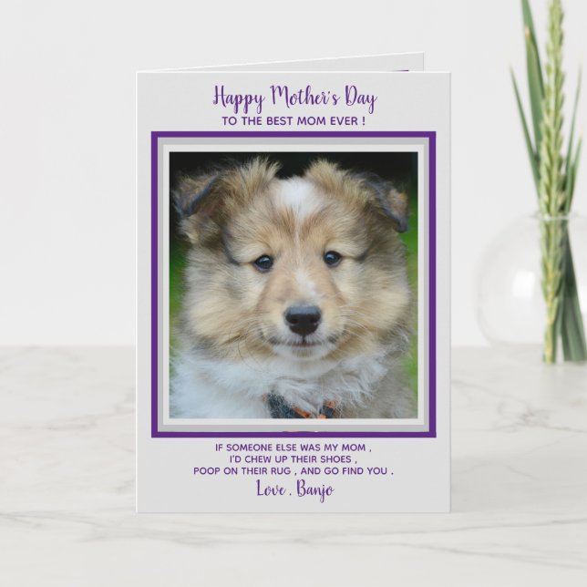 Carte De Remerciements Joyeuse fête des mères - Amusante maman de chien m (Devant)