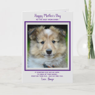Carte De Remerciements Joyeuse fête des mères - Amusante maman de chien m