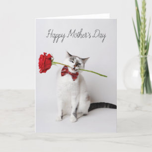 Carte De Remerciements Joyeux chat mignon de la Fête des Mères avec des f