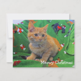 Carte De Remerciements Joyeux Noël Miaou