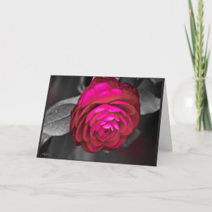 Carte De Remerciements La Camélia rose