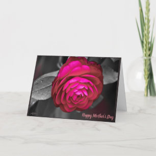 Carte De Remerciements La Camélia rose Joyeuse fête des mères