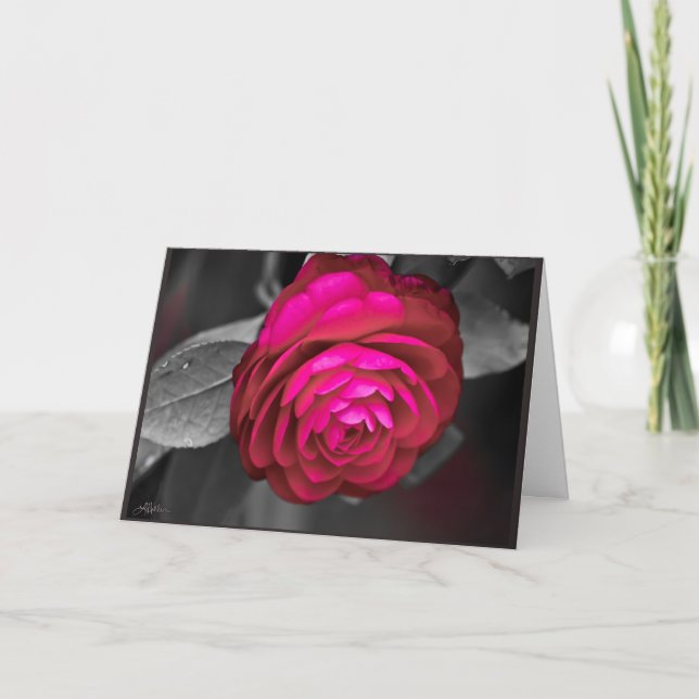 Carte De Remerciements La Camellia Rosy (Devant)