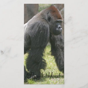 Carte De Remerciements La carotte a complété le gorille avec les bras