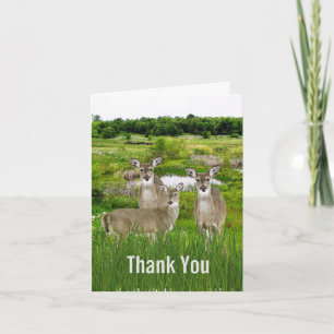 Carte De Remerciements La faune et la nature du cerf pour lui