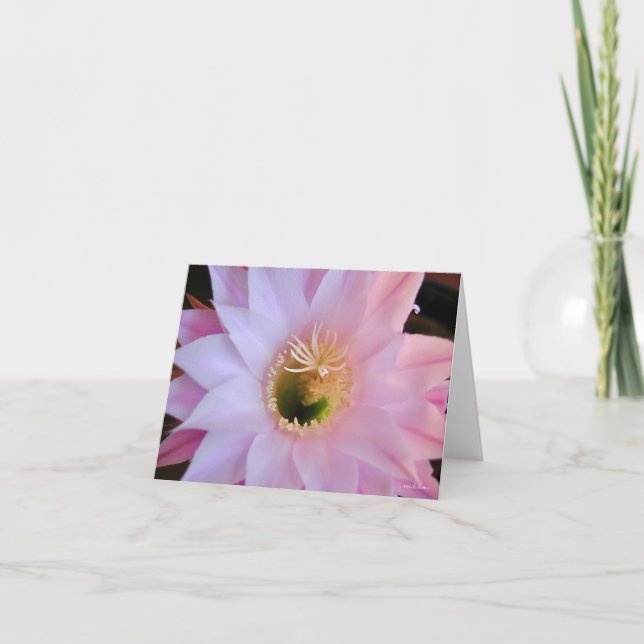 Carte De Remerciements La fleur de cactus de Michelle (Devant)