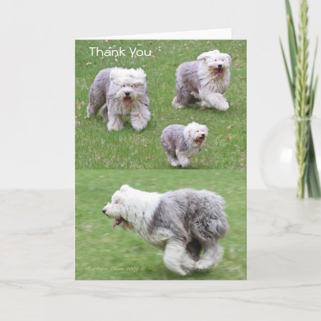 Carte De Remerciements La joie est la forme la plus simple de gratitude (Devant)